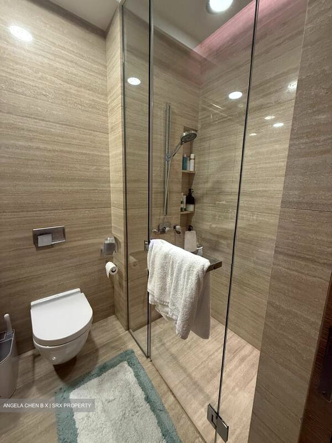 Eden Residences Capitol (D6), Apartment #500434241